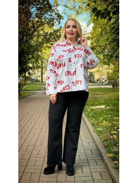 2554 988 Bluse Hemdkragen